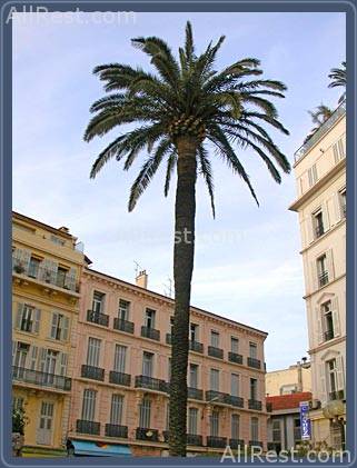 Hotel La Villa Tosca 4